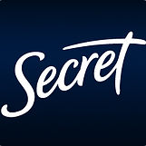 Secret Logo