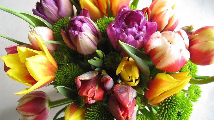 A floral bouquet with purple, yellow, red and pink tulips plus green chrysanthemums.