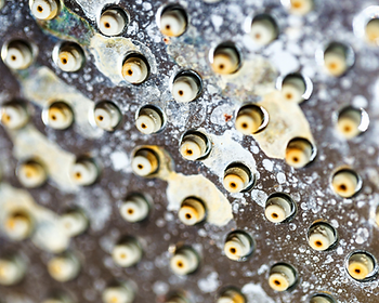 Hard water deposits on a shower head.