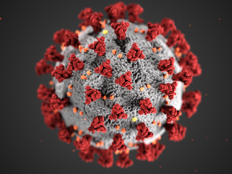 Covid-19 VIrus illustration in grey and red.