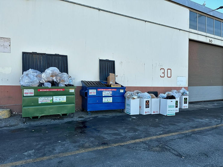 Neatly packed trash boxes lined up next to overfilled recycling and trash dumpsters after the Redwood Auto Show we serviced.