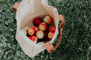 A white canvas bag with brown handles holding a bunch of red and green apples.  Eating plant based is one of the ways how you can help the environment.