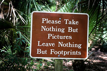 A sign on a nature path with overgrown ferns and palms that says PLEASE TAKE NOTHING BUT PICUTES LEAVE NOTHING BUT FOOTPRINTS