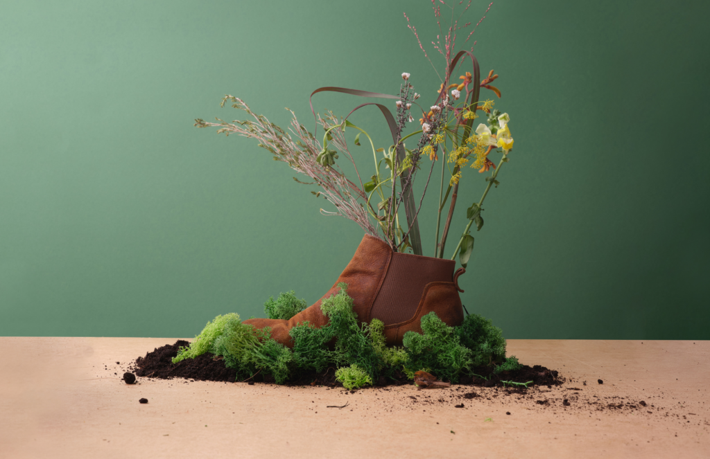 A brown leather shoe with plants growing out of and around it. A metaphor for the sustainable footprint instead of leaving a carbon footprint.